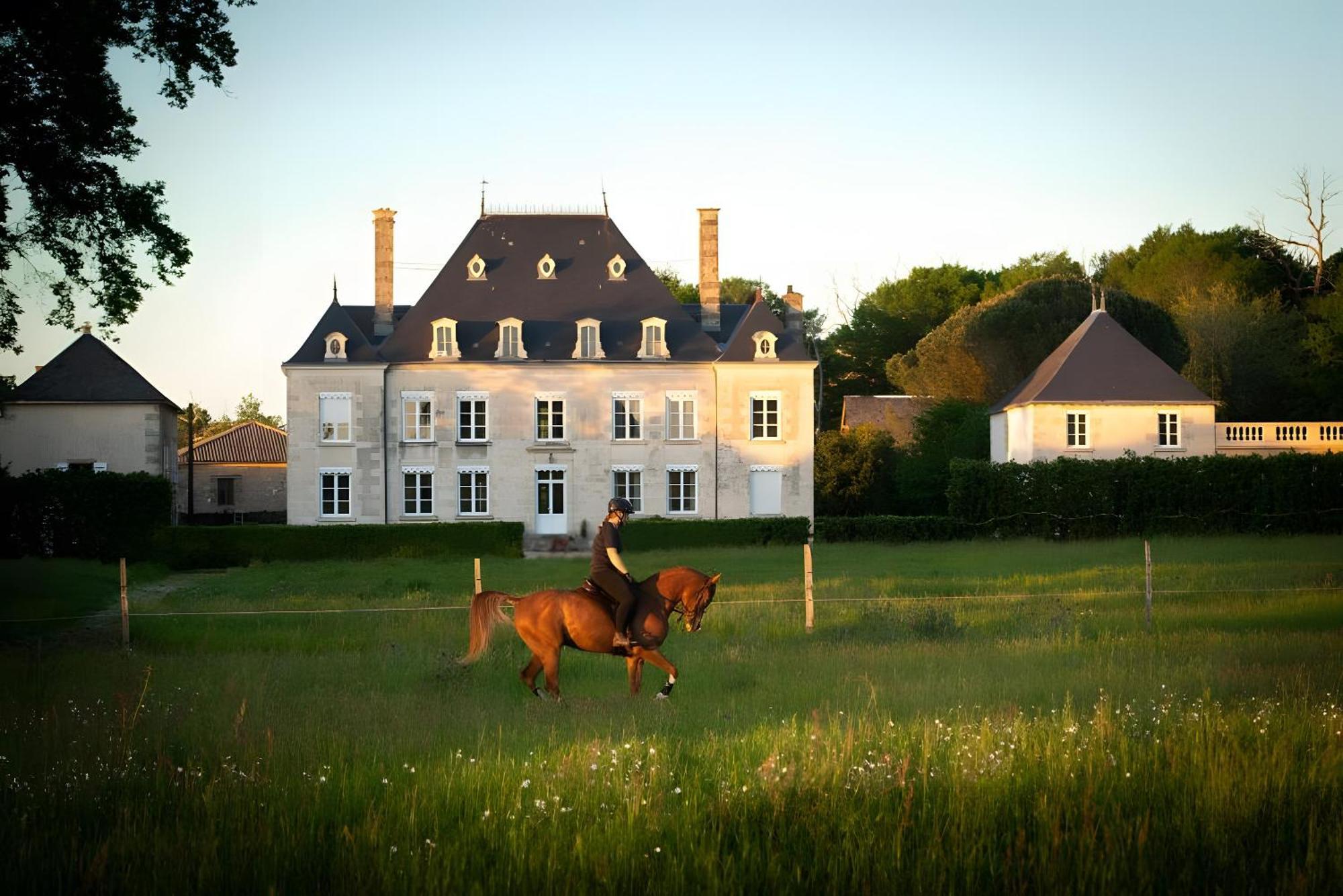 Domaine De La Briouse Bed & Breakfast Sanxay Exterior photo